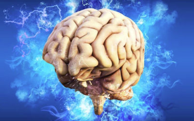 Actualisation  de la prise en charge du patient après un AVC