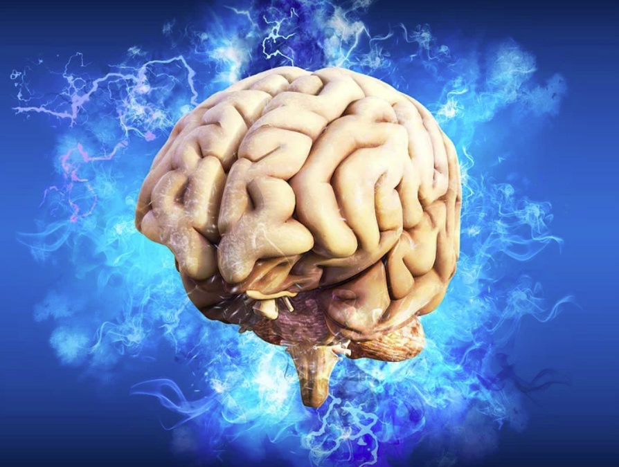 Actualisation  de la prise en charge du patient après un AVC