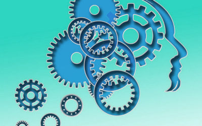 Approche du raisonnement clinique en Thérapie Manuelle Orthopédique