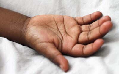 Bilans et prise en charge en rééducation de la main