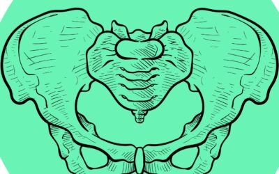 Examen clinique et techniques manuelles de l’articulation sacro-iliaque